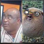 Daniel Profile Picture