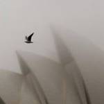 De Chance Fomene Profile Picture