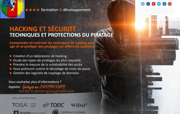 Les entreprises camerounaises sont-elles protégées contre les cyberattaques?