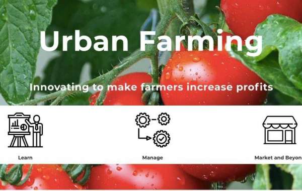 AgriCo est une application mobile conçue pour aider à améliorer la productivité et la rentabilité de l'agriculture 