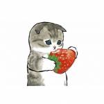 KFub Vkuv Profile Picture