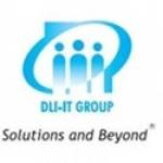 dli it group Profile Picture